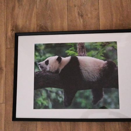 A 4 Min Du Zoo De Beauval La Maison A Partager Ch2 1Er Etage Saint-Aignan  Exterior photo