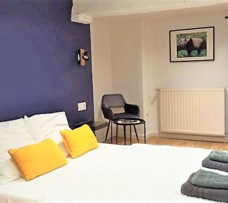 A 4 Min Du Zoo De Beauval La Maison A Partager Ch2 1Er Etage Saint-Aignan  Exterior photo