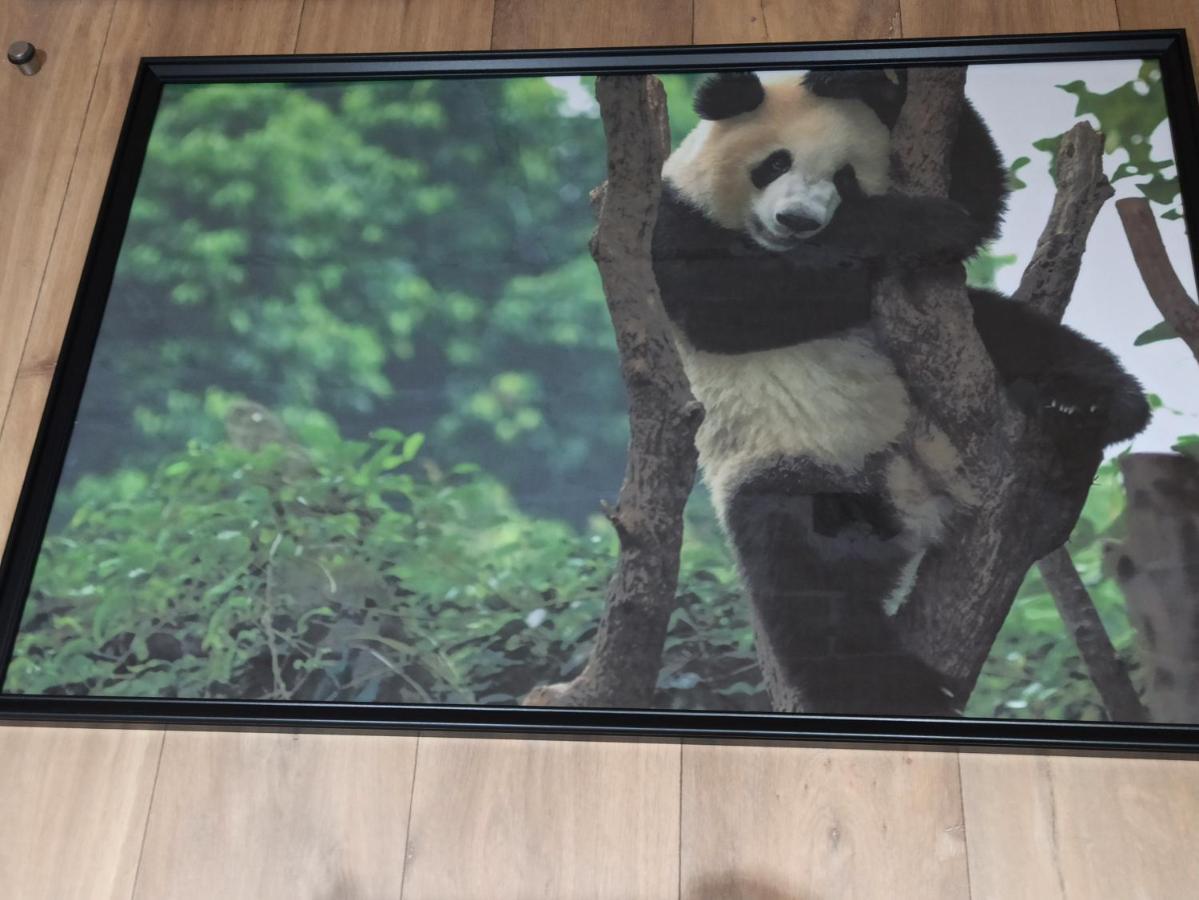 A 4 Min Du Zoo De Beauval La Maison A Partager Ch2 1Er Etage Saint-Aignan  Exterior photo